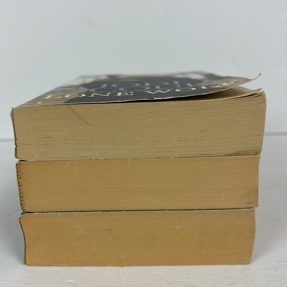 (3) Jodi Picoult Paper Trade Paperback Books Lone Wolf Second Glance Salem Falls - Picture 4 of 9